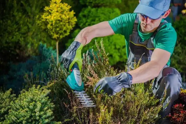 landscaping services Minatare